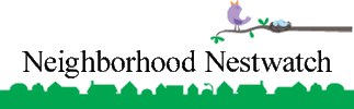 Neighborhood Nestwatch: Food Web Study